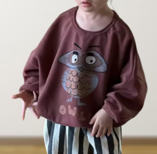 Owl Sweater