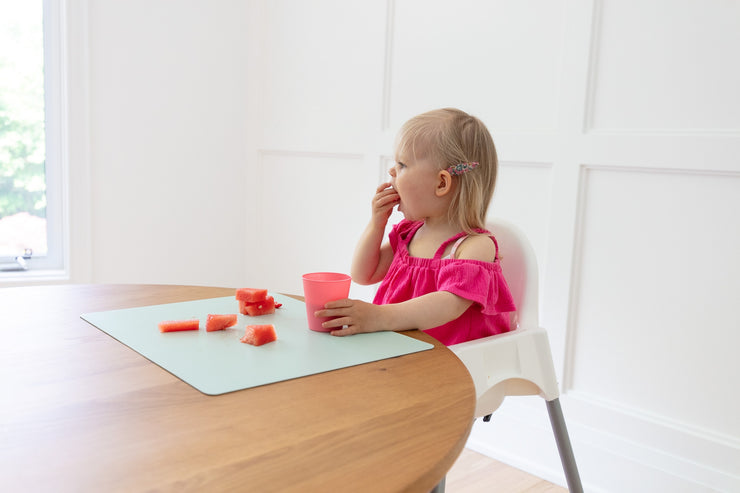 Vinyl Placemats - Cloud Grey